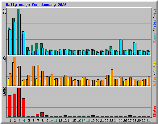 Daily usage for January 2026