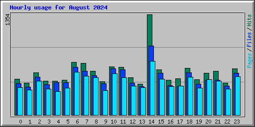 Hourly usage for August 2024