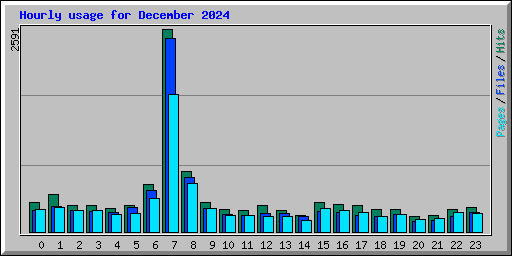 Hourly usage for December 2024