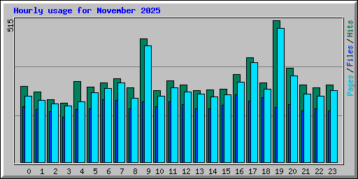 Hourly usage for November 2025