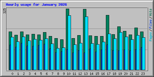 Hourly usage for January 2026