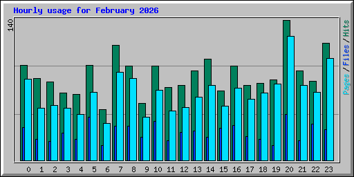 Hourly usage for February 2026